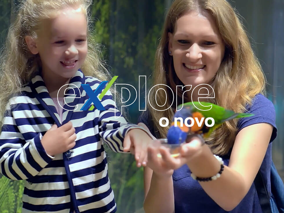 Explore o novo