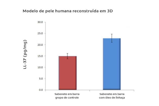 Modelo de pele humana reconstruída em 3D.
