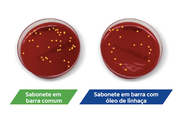 Sabonete em barra comum versus Sabonete em barra com óleo de linhaça.