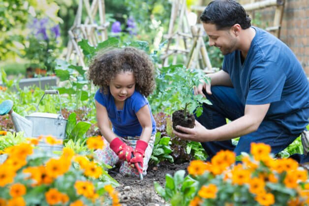 Em primeiro plano temos flores e em segundo pai e filha estão em um jardim plantando flores.