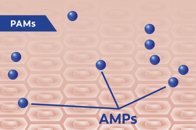 AMPs.