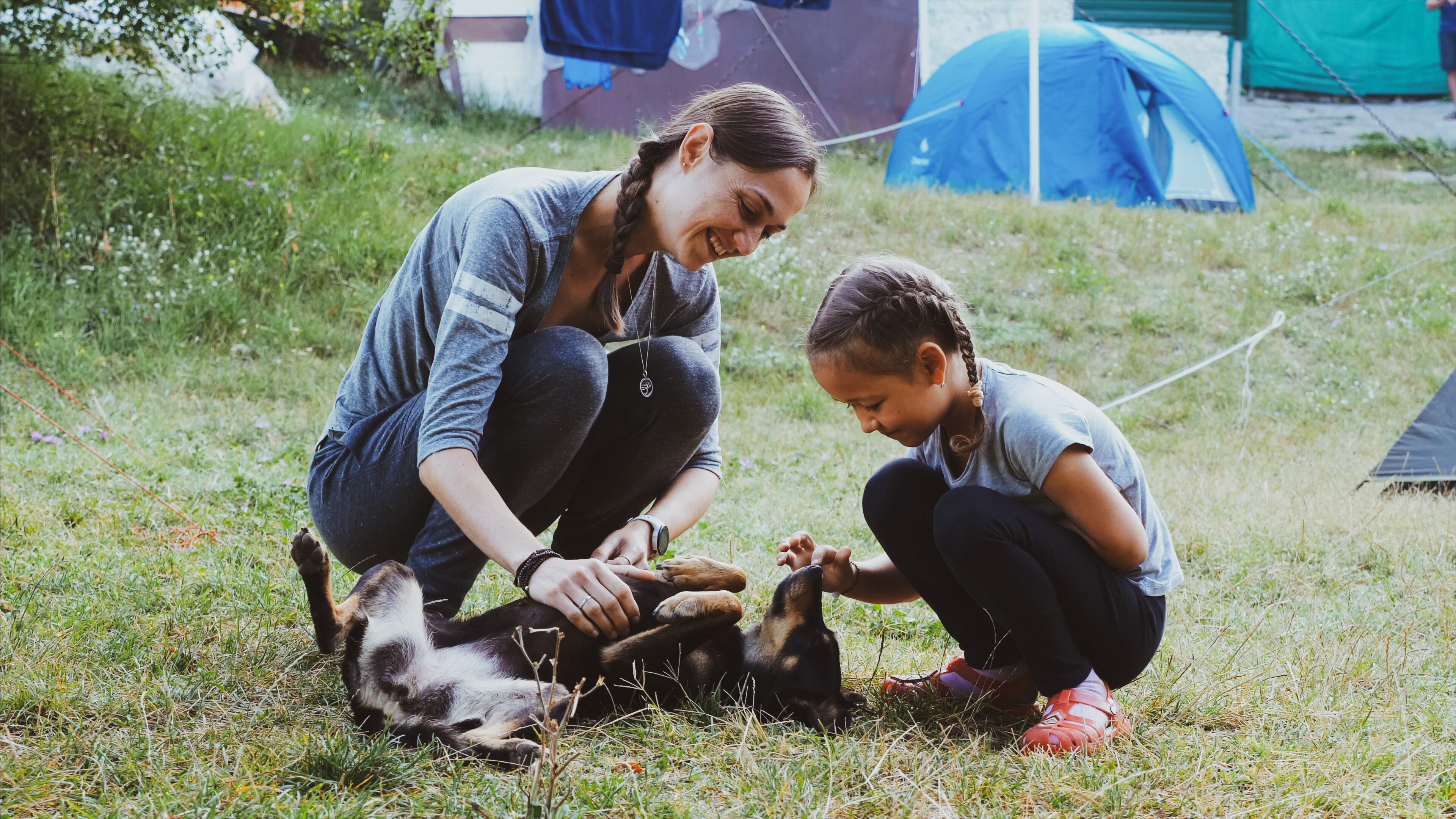 Mulher e menina lobinho fazendo carinho em um cachorro no acampamento de verão Mulher e menina lobinho fazendo carinho em um cachorro no acampamento de verão